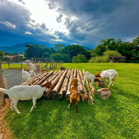 Hospedagem Zilz Pomerode Bagian luar foto