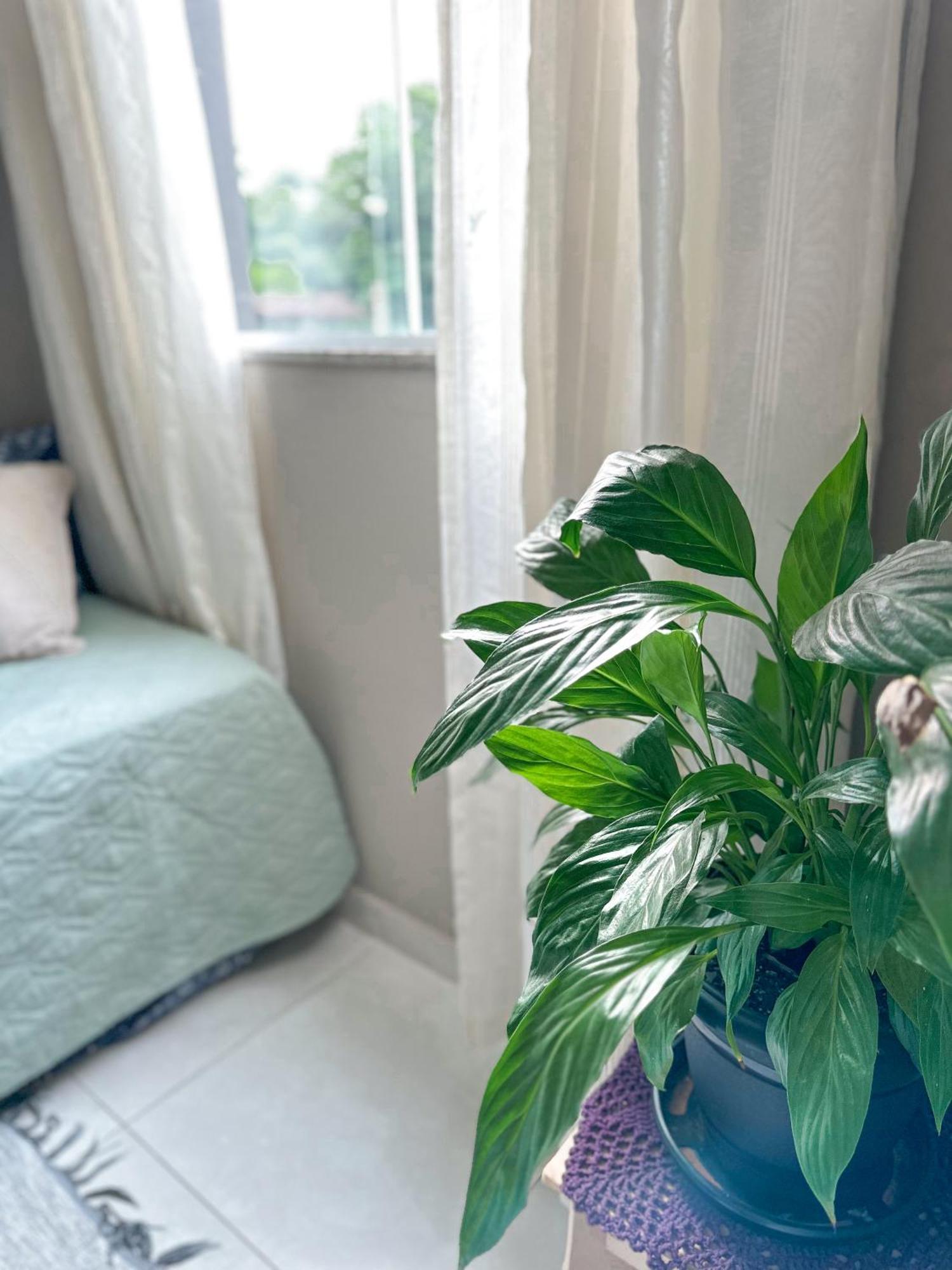 Hospedagem Zilz Pomerode Bagian luar foto