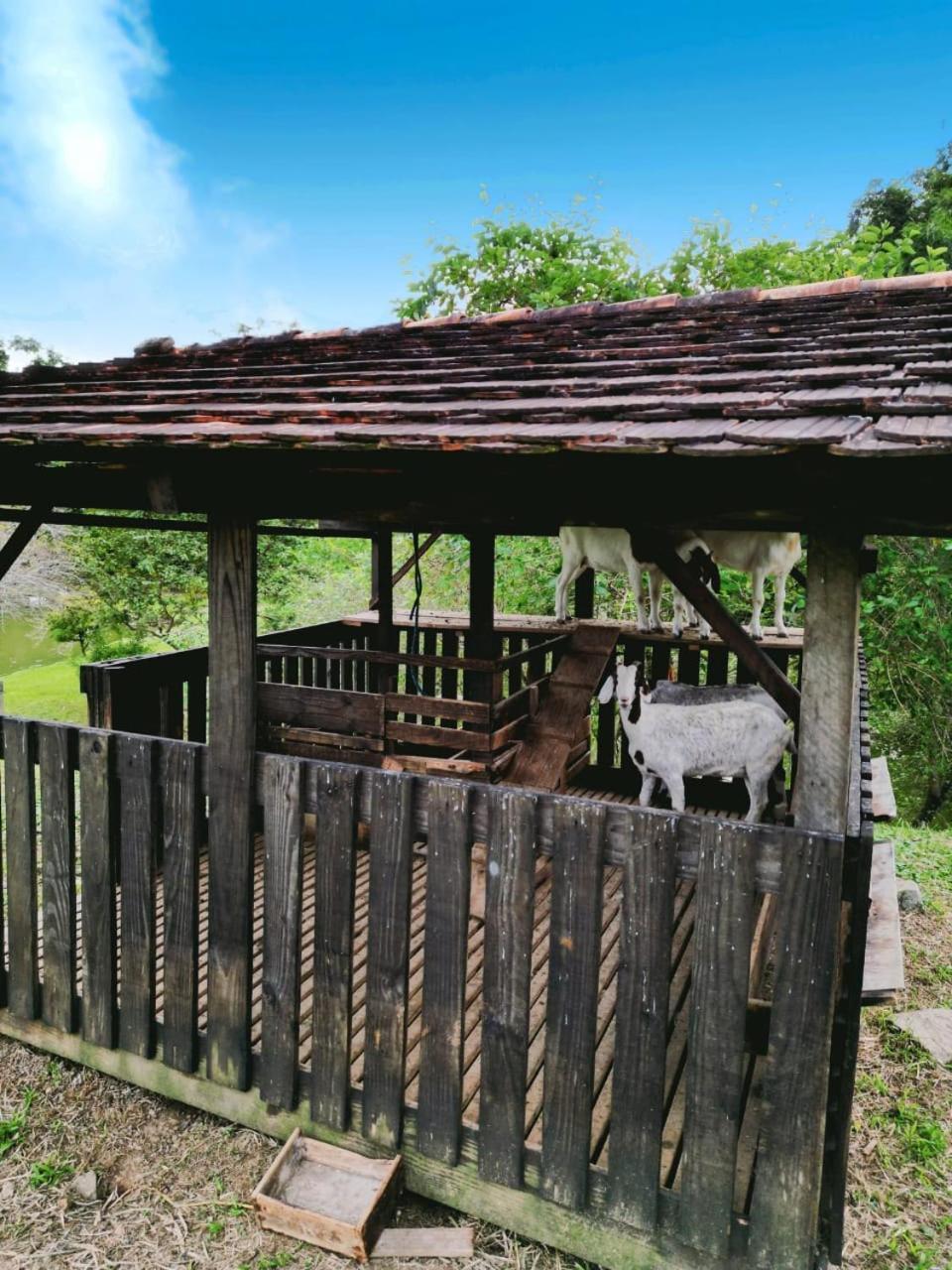 Hospedagem Zilz Pomerode Bagian luar foto